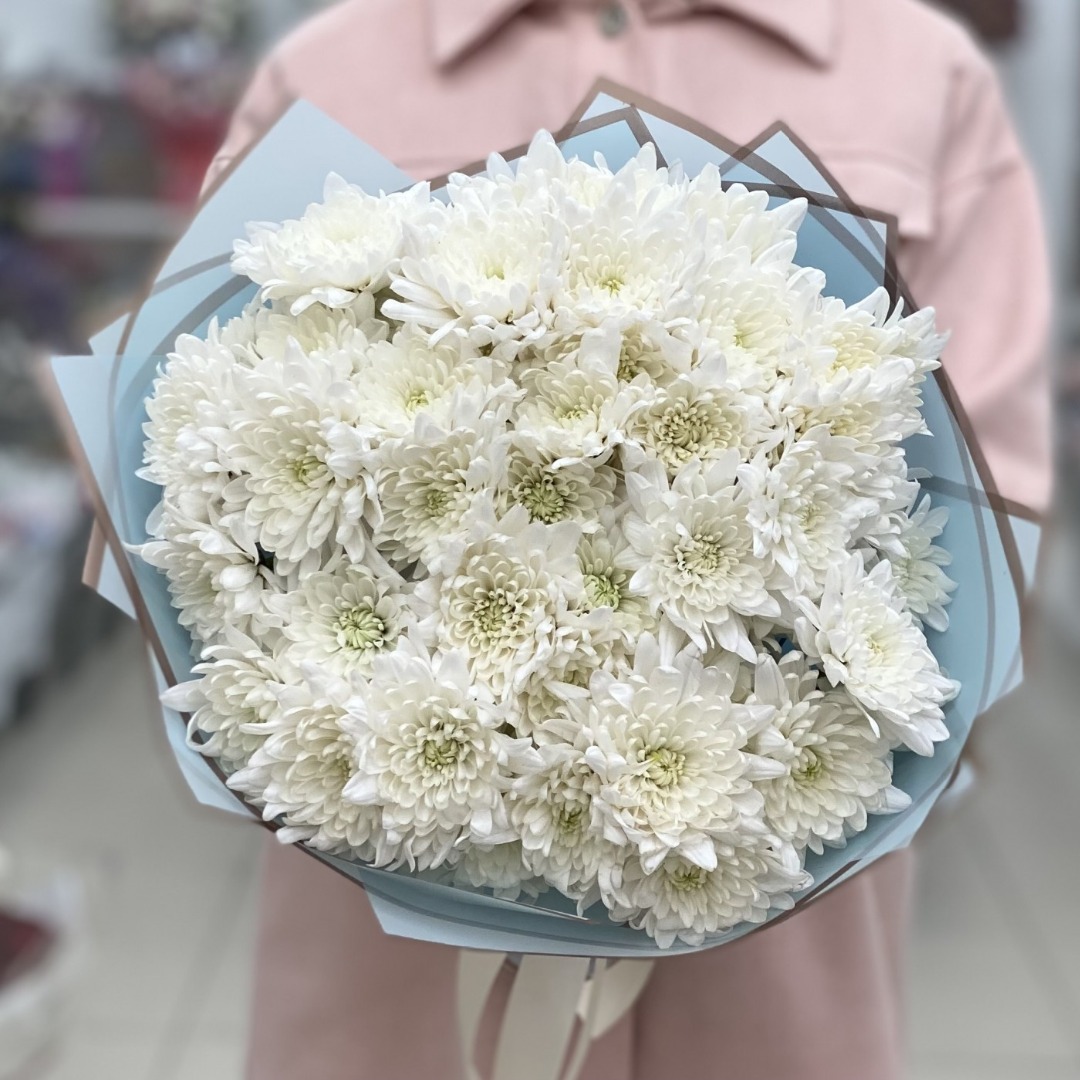 55 Белых Кустовых Хризантем Ромашка